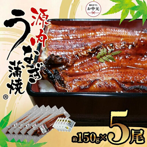 【お中元ギフト】源内うなぎ（5尾）