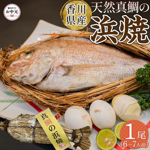 【お中元ギフト】天然真鯛の浜焼1尾（6人～7人前）