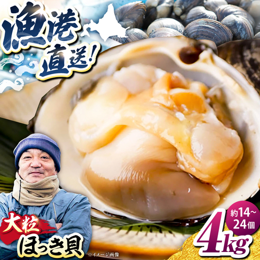[2026年7月中旬以降順次発送再開]活ほっき貝 4kg 約14〜24個[鵡川漁業協同組合]ホッキ 冷蔵発送 [AXAL006]