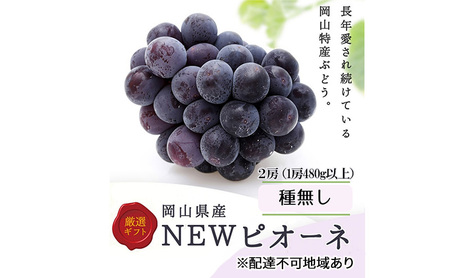 ぶどう 2026年 先行予約 ニューピオーネ 2房(1房480g以上) 化粧箱入り