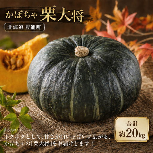 【先行予約】北海道 豊浦町 かぼちゃ 栗大将 約20kg （1箱5～7玉）約10kg×2箱【2026年9月上旬発送開始】 カボチャ 南瓜 野菜 煮物 天ぷら