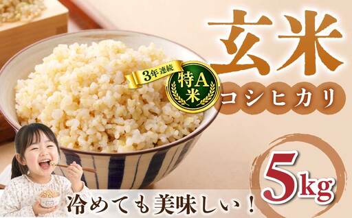 玄米5kg 特A米[冷めても美味しいコシヒカリ]|最短4〜7日程度でお届け ※着日指定不可[小田農園]