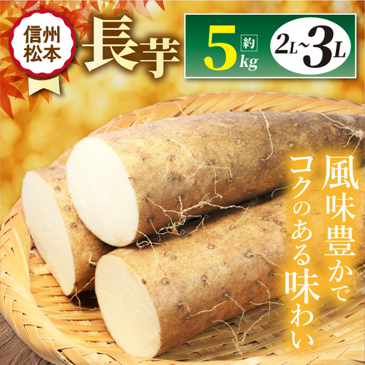 【先行受付】長芋 2L～3L 約5㎏