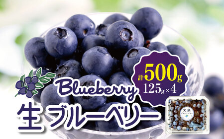 生ブルーベリー　500g