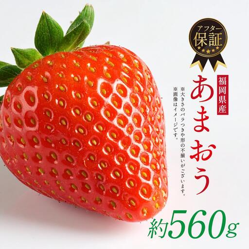 【1月上旬以降順次発送予定】博多あまおう 計約560g｜ONE GO あまおう as45-001