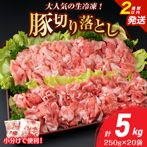 大人気 生冷凍 厳選 豚切り落とし 計5kg_DB45-26-2W