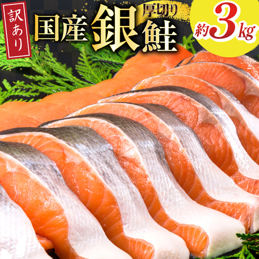 訳あり 国産 減塩 厚切り 塩銀鮭 切身 計 3kg 