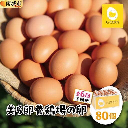 美ら卵養鶏場の卵 80個【6ヶ月定期便】   