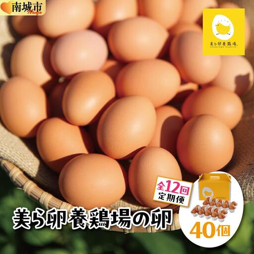 美ら卵養鶏場の卵 40個【12ヶ月定期便】