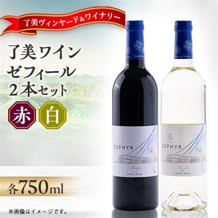 了美ワイン 赤ワイン・白ワイン 飲み比べ2本セット 750ml×各1本【1599872】