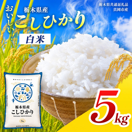 【先行予約】【令和8年度産】栃木県産コシヒカリ 5kg | 栃木県 那珂川町【栃木県共通返礼品】