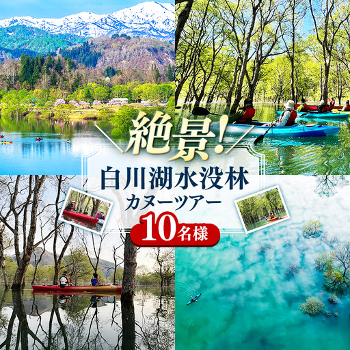 絶景 水没林カヌープレミアムツアー(10名様分)癒しの自然満喫プレミアムアクティビティ - 体験型 カヌー体験 レジャー カヌー 自然 白川湖 水没林 体験チケット アクティビティ フォトジェニックスポット 観光 アウトドア 山形県 飯豊町[価格改定]