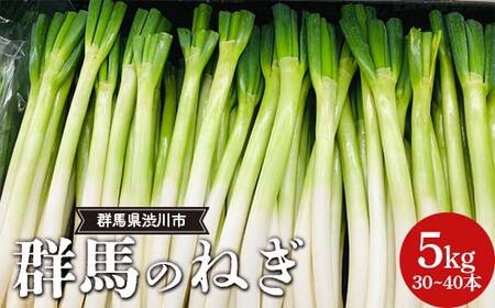 群馬のねぎ 5kg(30〜40本) 群馬県 渋川市 F4H-0542