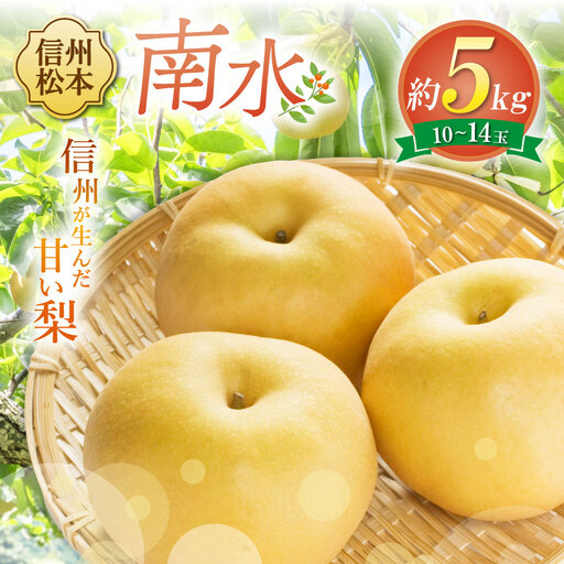 【先行受付】南水 10～14玉 約5kg