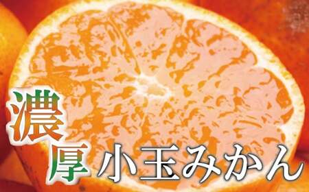 家庭用 小さな 有田 みかん(S以下) 10kg+250g ※11月発送 / 温州みかん 有田みかん 訳あり 甘い 光センサー選果 果物 柑橘 和歌山 ※北海道・沖縄・離島への配送不可 【ikd004-cs-10-novD】