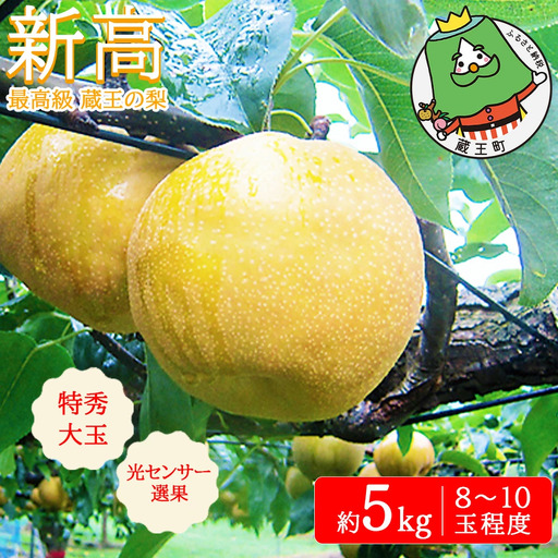 【先行予約】最高級 蔵王の梨 新高 約5kg 特秀･大玉　【04301-0718】梨 なし 果物 くだもの スイーツ フルーツ デザート 甘い ジューシー 蔵王