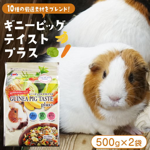 【9月30日受付終了】ギニーピッグ テイストプラス 500g × 2袋 ギニーピッグ モルモット 小動物用フード ペットフード おやつ ビタミンC [BU032sa]