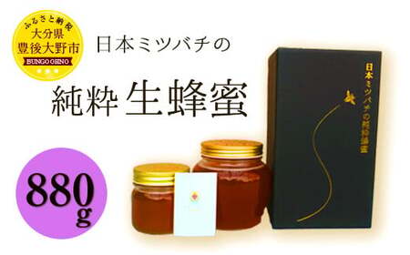 025-766x1 【TV番組で紹介されました】 日本ミツバチ の 純粋 生蜂蜜 880g ハチミツ はちみつ 国産 生はちみつ 【2025年11月下旬より順次発送予定】