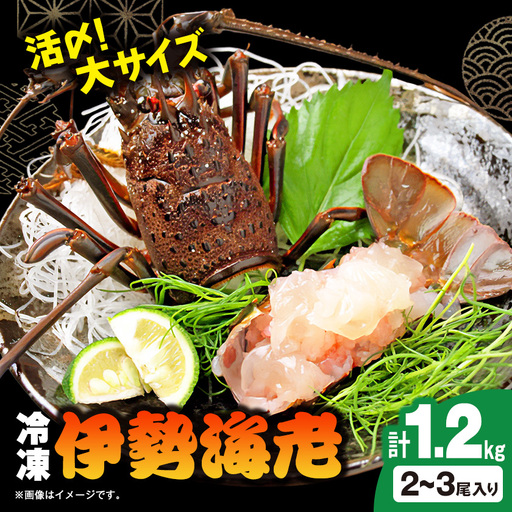 活〆冷凍伊勢海老 1.2kg_伊勢海老 活〆 冷凍 高級_【配送不可地域：離島】【1607919】