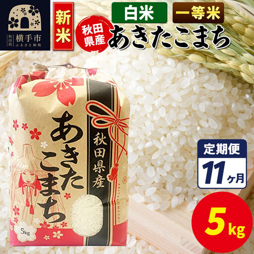 《新米》《定期便11ヶ月》あきたこまち 一等米 5kg【白米】秋田県産 こまちライン