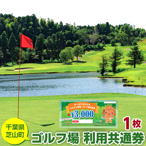 芝山町ゴルフ場利用券 1枚