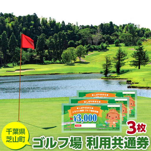 No.003 芝山町ゴルフ場利用券　3枚