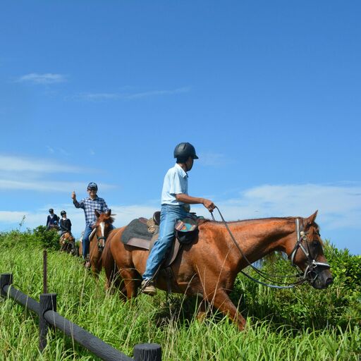 乗馬体験チケット 離島 大島コース 【カナディアンキャンプ乗馬クラブ】_HA1711