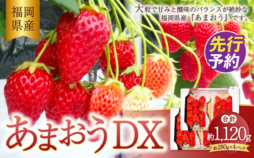 あまおうデラックス 約280g×4パック 計1.12kg 苺 いちご フルーツ 国産 冷蔵 【2027年2月上旬～4月下旬発送予定】