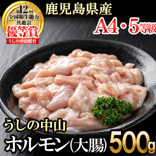うしの中山 ホルモン(大腸)500g(500g×1袋) 黒毛和牛 和牛 肉 牛肉 国産 九州産 鹿児島県産 ホルモン 焼肉 日本一