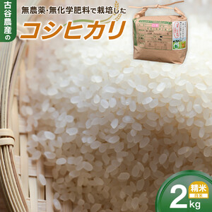 【令和7年産米 数量限定】古谷農産の無農薬・無化学肥料で栽培したコシヒカリ（精米2キロ） ｜米 コメ  白米 2kgコシヒカリ こしひかり 農家直送 産地直送 産直