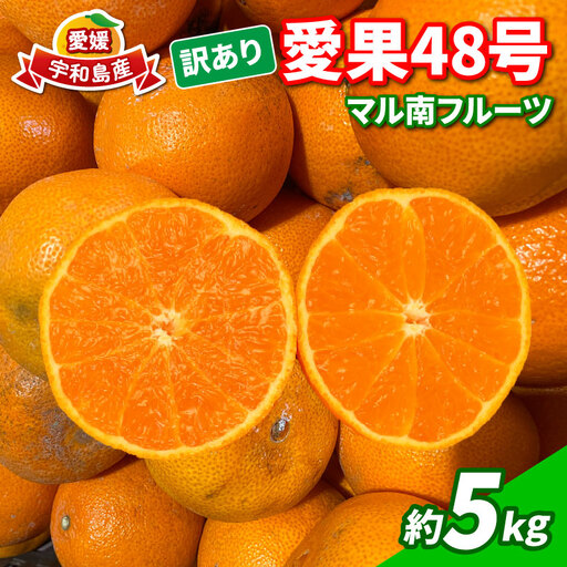 訳あり 愛果48号 ( 紅プリンセス と同品種) 5kg マル南フルーツ 紅プリンセス B015-106053