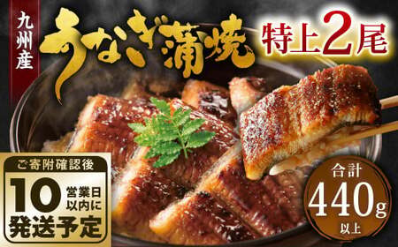 九州産 うなぎ 蒲焼 特上 2尾 計440g以上 (1尾あたり220～235g)【順次発送】