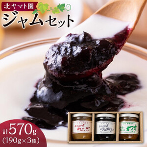 ジャム セット 570g ( 190g × 3種 ) 北ヤマト園 | りんご ブルーベリー あんず ジャム 長野 信州