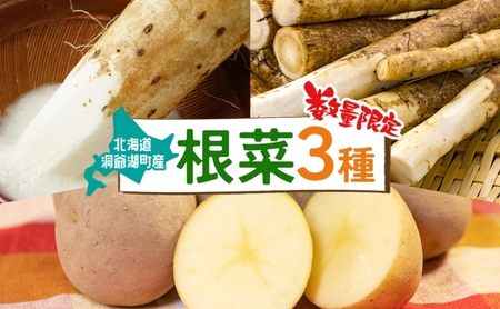 数量限定 根菜3種セット 計8.6kg 土付き 長芋 5kg 土付き ごぼう 1.8kg じゃがいも 1.8kg 先行予約 2026年11月下旬〜12月下旬までのお届け 野菜 詰め合わせ 根菜 常温 青野農園 北海道 洞爺湖町