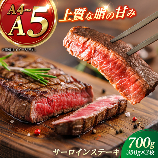 長崎和牛 サーロイン ステーキ 350g×2 【KRAZY MEAT】 A5 A4 冷凍 和牛 肉 牛肉 BBQ[RCQ003]