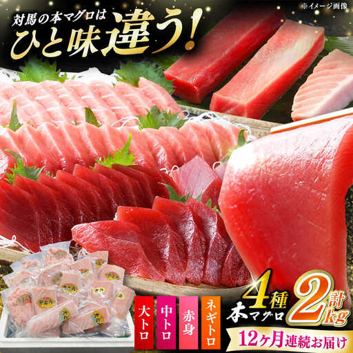 【全12回定期便】 対馬産 本マグロ 4種 計2kg（赤身/中トロ/大トロ/ネギトロ）[WAH036] マグロ まぐろ トロ