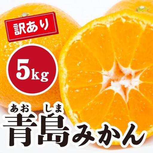みかん【先行受付】【2027年1月末以降発送】濃厚な甘さが特徴！訳あり青島みかん ＜約5kg＞ 広島 三原 佐木島 鷺島みかんじま 017067