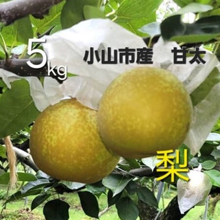 数量限定!【5kg】栃木県小山市産　甘太　梨【1617298】