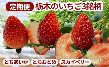 【定期便】栃木のいちご3銘柄（とちあいか　とちおとめ　スカイベリー）定期便 計3ヶ月　270g×2パック ※2027年1月～発送