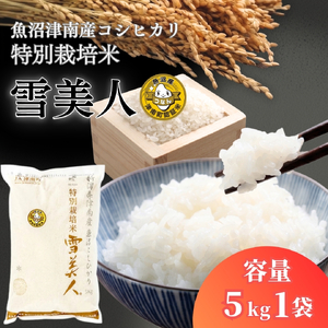 魚沼産コシヒカリ 特別栽培 雪美人 5kg | 津南町 魚沼 令和7年