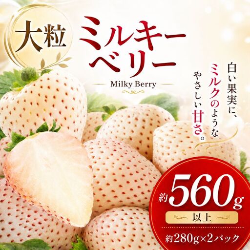 【2月発送】希少な白いちご ミルキーベリー 約560g 真岡市 栃木県 送料無料