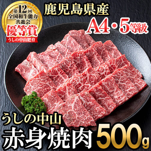 うしの中山 赤身焼肉用500g×1P 黒毛和牛 和牛 肉 牛肉 国産 九州産 鹿児島県産 焼肉 赤身 日本一