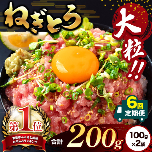 【定期便6回】ねぎとろ 200g（100g×2袋） 本州限定発送 | 清幸丸水産 大人気 手巻き寿司 海鮮丼 マグロのユッケ まぐろ 海鮮 小分け 100g パック 千葉県 君津市