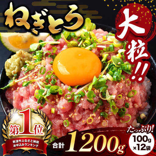 ねぎとろ 1200g(100g×12袋) スピード発送 | 清幸丸水産 最短7日以内発送 大人気 ユッケ 手巻き寿司 海鮮丼 マグロのユッケ まぐろ 海鮮 小分け 100g パック 千葉県 君津市