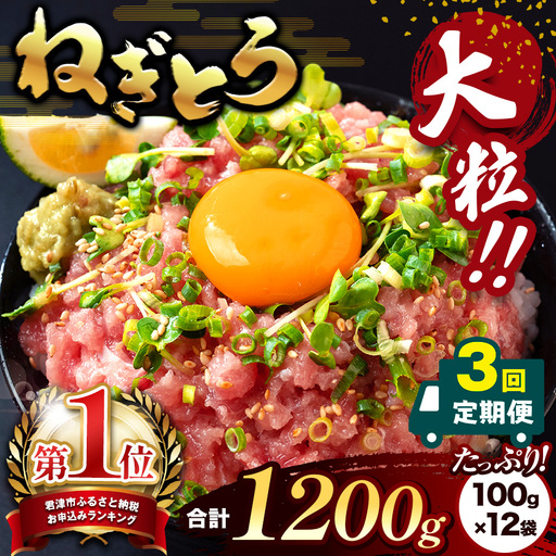 【定期便3回】ねぎとろ 1200g（100g×12袋） | 清幸丸水産 大人気 手巻き寿司 海鮮丼 マグロのユッケ まぐろ 海鮮 小分け 100g パック 千葉県 君津市