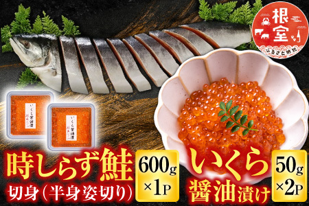 時しらず鮭600g×1P・いくら醤油漬け50g×2P B-42106