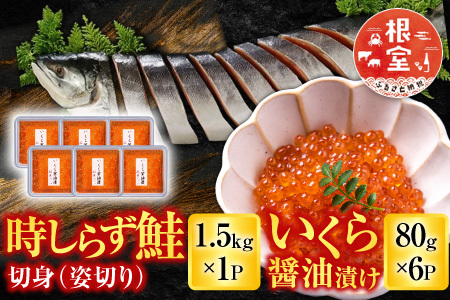 時しらず鮭1.5kg×1P・いくら醤油漬け80g×6P D-42067