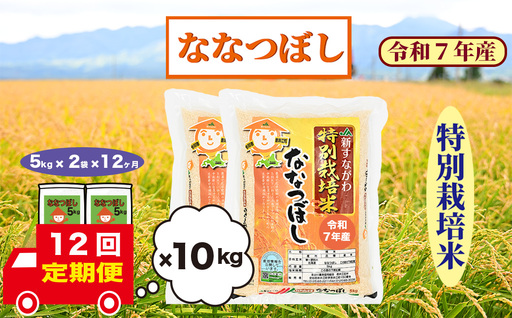 【定期便12回】北海道奈井江町　特別栽培米　ななつぼし　10kg