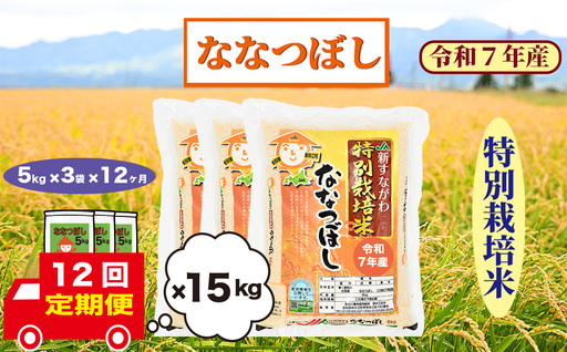 【定期便12回】北海道奈井江町　特別栽培米　ななつぼし　15kg