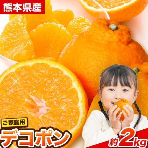 デコポン 訳あり 約2kg デコポン 熊本